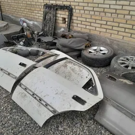 tigier awlonyn sdenyasy tigir