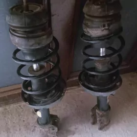 astra ji purşin amatizator