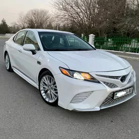 Toyota Camry 2020