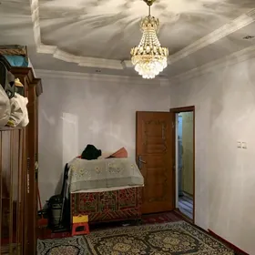 Büzmeýin Tomatnyy 4/1 3Kom78m²