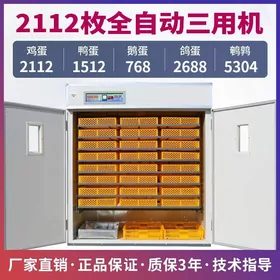 Inkubator(инкубатор)