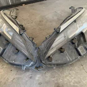 SIENNA  2022 oñ Fara  çyra