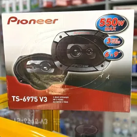 Pioneer kalonka nikel