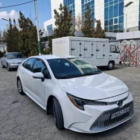 Toyota Corolla 2020