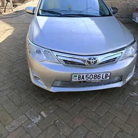 Toyota Camry 2013