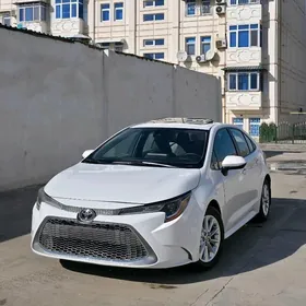 Toyota Corolla 2020