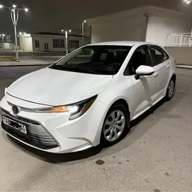 Toyota Corolla 2024