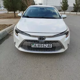 Toyota Corolla 2020