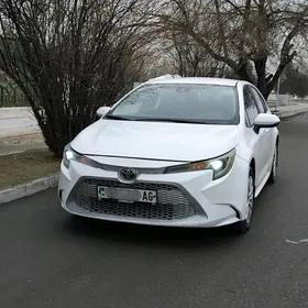 Toyota Corolla 2019