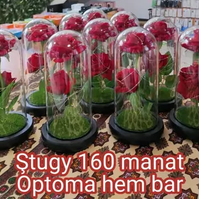 Söýgüliler üçin Sowgat