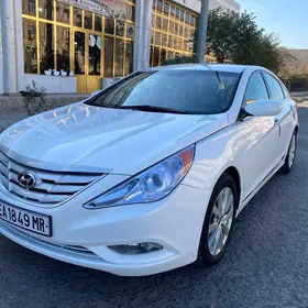 Hyundai Sonata 2010
