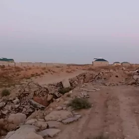 onally mellek 12 sotuk