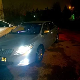 Toyota Corolla 2010