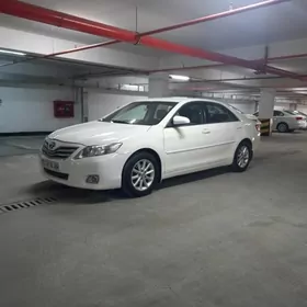 Toyota Camry 2010