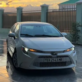 Toyota Corolla 2020