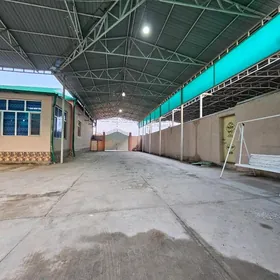 Taze gami arenda howly