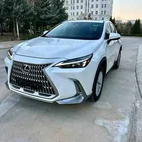 Lexus NX 250 2024