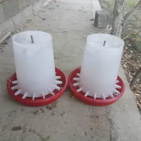 towuklan im berilyani