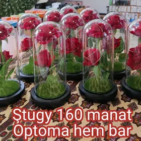 14 Fewral Ýädigärlik Sowgat