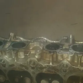 галовка лисичка 2.0lik