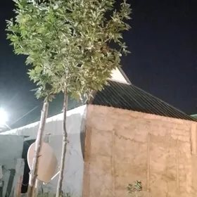 bag farmowka etyas jaya toga m