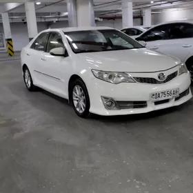 Toyota Camry 2013