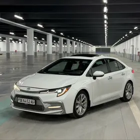Toyota Corolla 2020