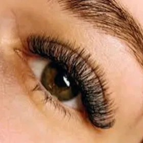 NARASİVİNNİ KİRPİK