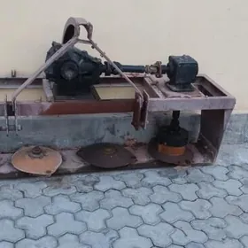 Ot we çöp ýatyrýan kasilka