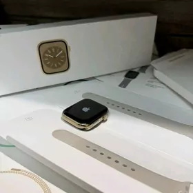 Apple Watch 8 45mm Steinles