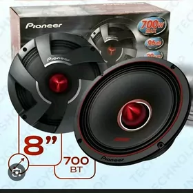 pionner kolonka 700w