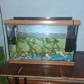 Аквариум комплект