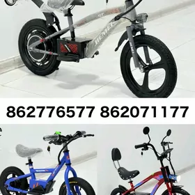 TOKLY TIGIR SAMAKAT MAGAZYN