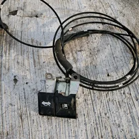 Bagajnigin, bakyn trosy