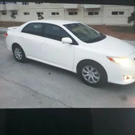 Toyota Corolla 2010