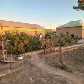 mary taze bazar ÿol