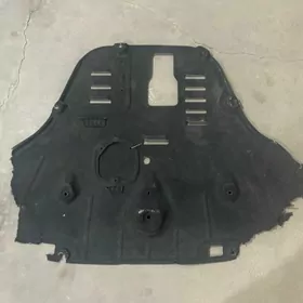 zashita hyundai santafe