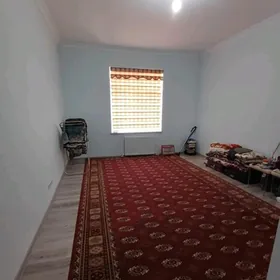 2KOM. GURTLY POLU-ELITKA 