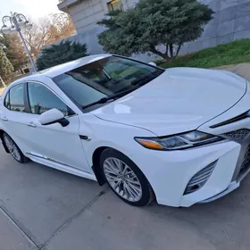 Toyota Camry 2020