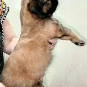 ️ ДЕВОЧКА 1 МЕСЯЦ ️