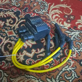 Maşyna degisli zapcastlar