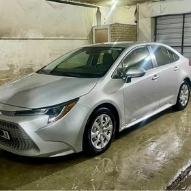 Toyota Corolla 2021
