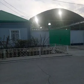 hitrowka howly jay uspen ipote