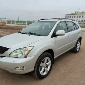 Lexus RX 330 2004