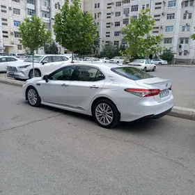 Toyota Camry 2020