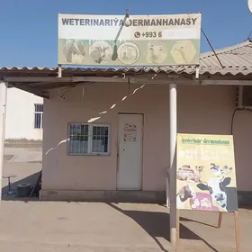 weterinar dermanhana satlyk iş