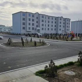 Elitka kone yarmarka Erkin Gur