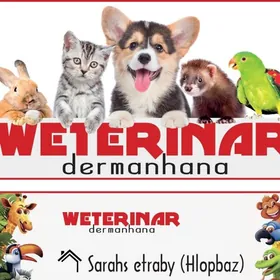 weterinar dermanhana