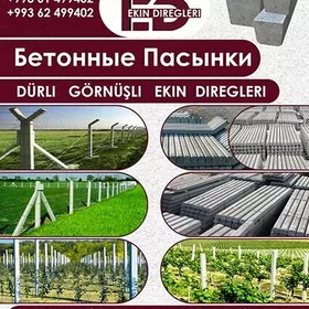 Pasynka Пасынка