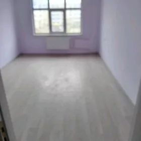 сатлык эдитка